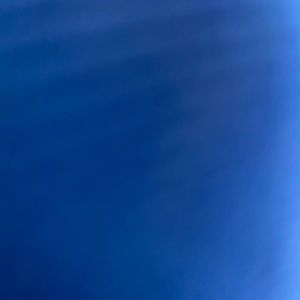 Meet your Posher, Tracee